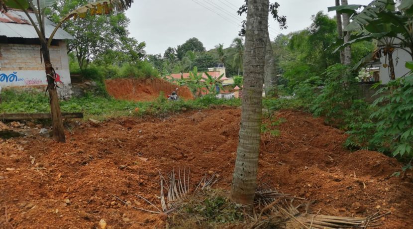 5bb9230f-77a0-4eff-9fda-180ced32e942