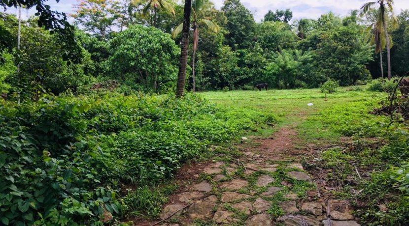 74c2537c-2e84-4029-bb8c-9940b384ca4a