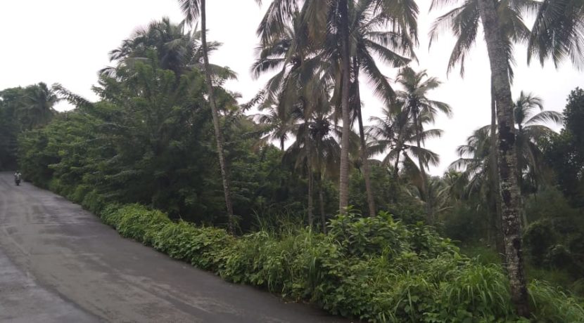 9cbfbf72-f599-429d-876f-5a952e763d62