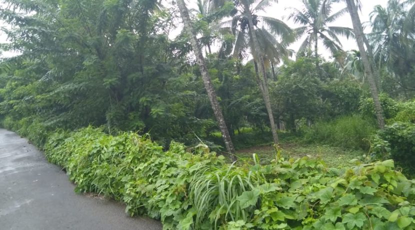 a3952378-b4df-4c2f-8ebb-1d7f6d4cfa98