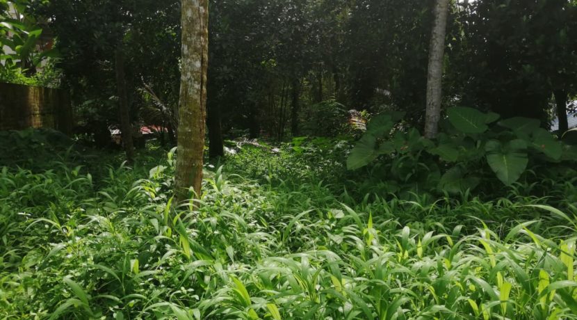 e7eb0b68-72ac-4388-9576-57d9cc7025cb