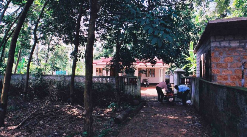 035AA80B-771F-43E3-BB7E-F08F4D91027F