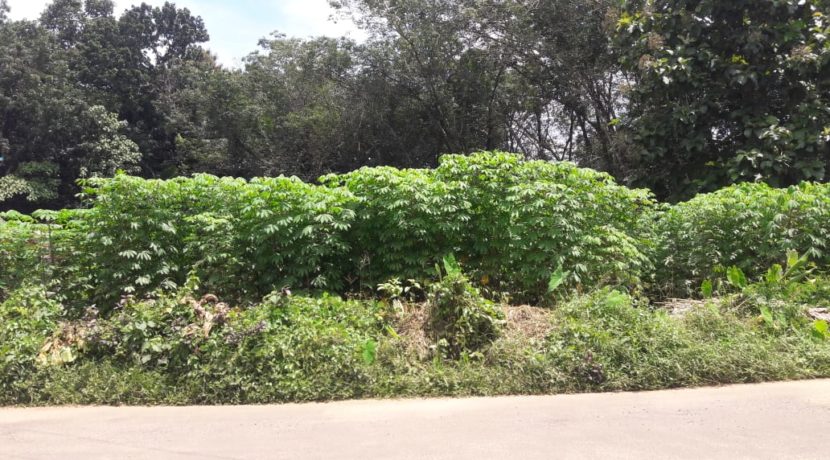 WhatsApp Image 2019-10-03 at 11.58.24 AM (1)