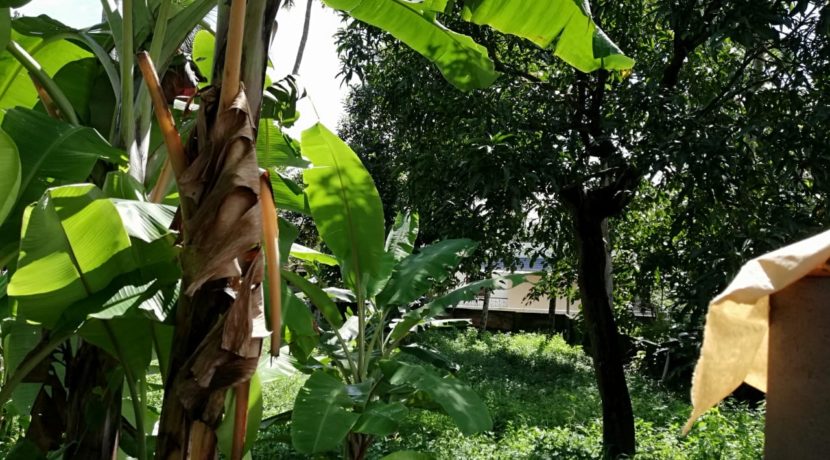 727f4ea8-8215-49e1-a5ec-9bebb54b3598