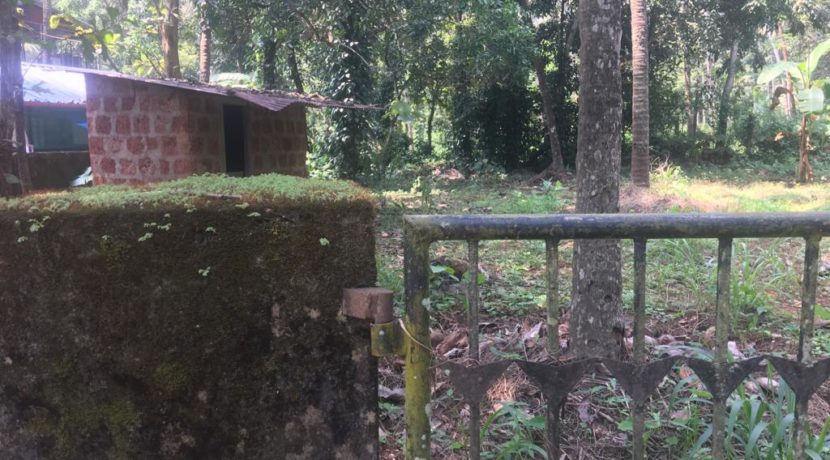 PHOTO-2018-12-29-18-22-13 5