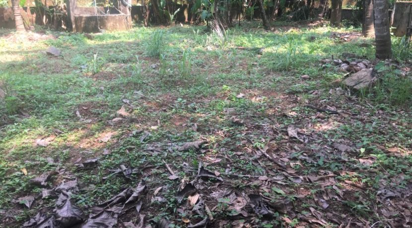 PHOTO-2018-12-29-18-22-13