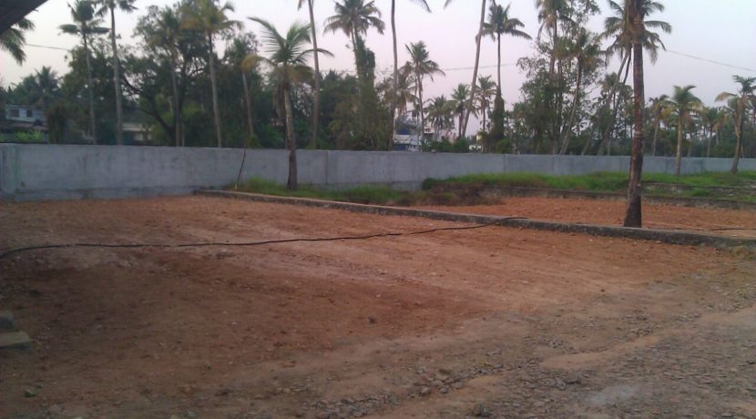 WhatsApp Image 2019-09-12 at 23.53.17 (1)