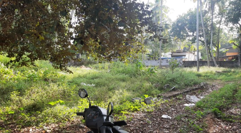 WhatsApp Image 2019-12-15 at 3.25.04 PM