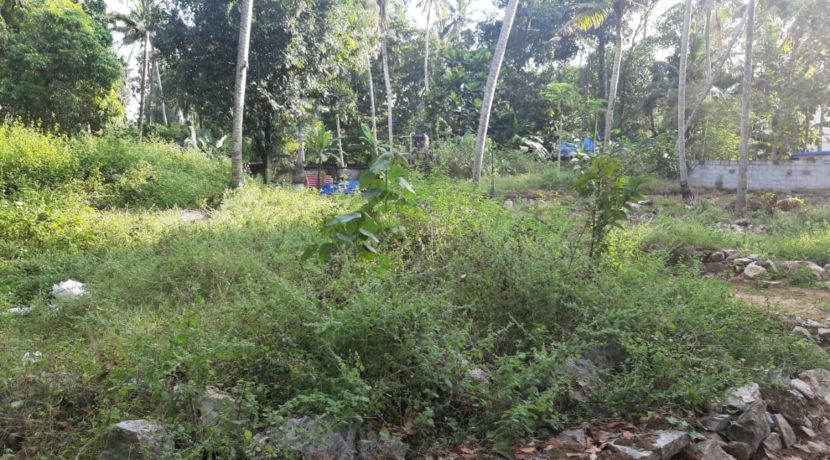 WhatsApp Image 2019-12-15 at 3.25.11 PM