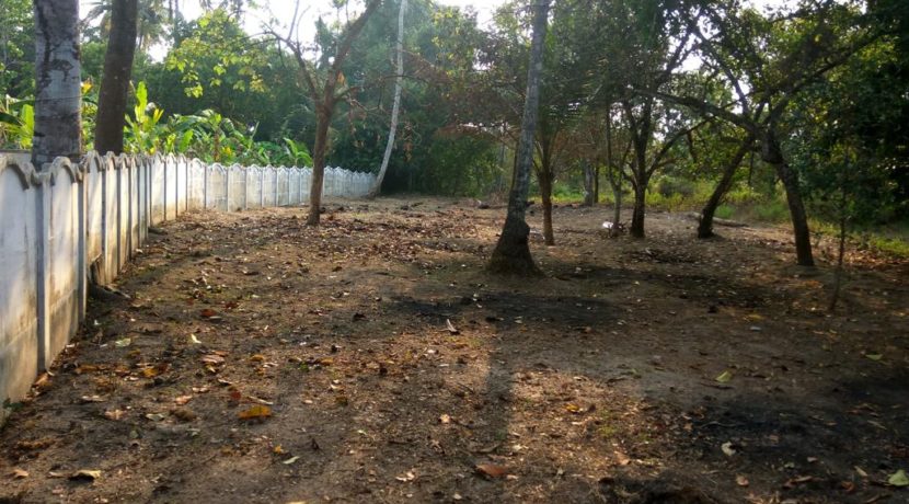 01 site_view_wall_o_w