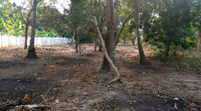 02 site_view_front_o_w