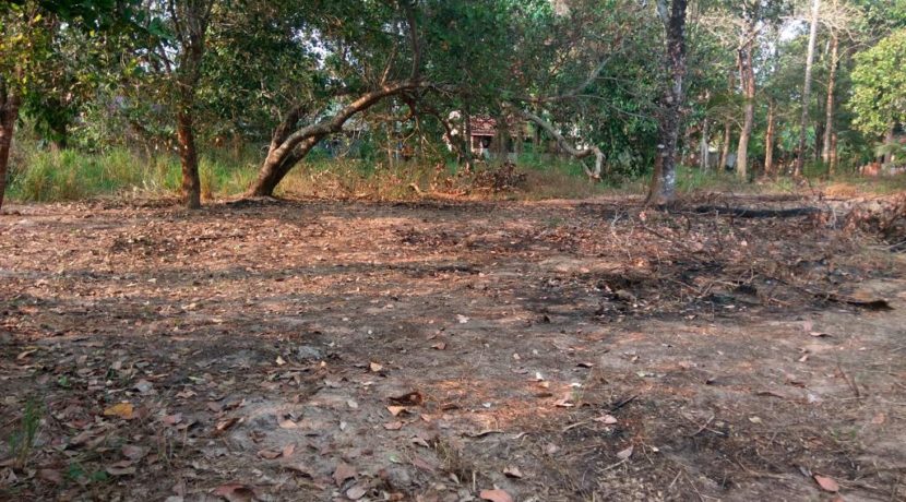 03 site_view_back_o_w