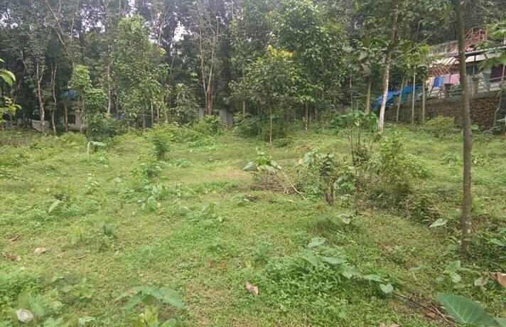 FB_IMG_15763155639889515