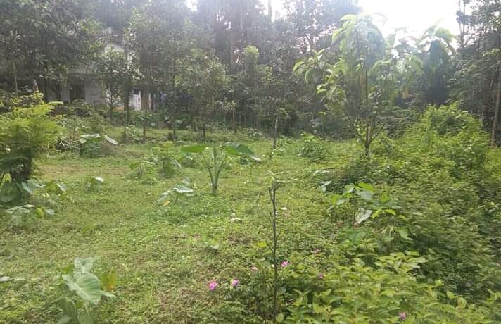 FB_IMG_15763155683014524