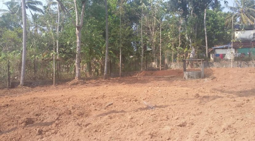 BA1496F6-C335-4502-ACC3-EC565AEFFEF9