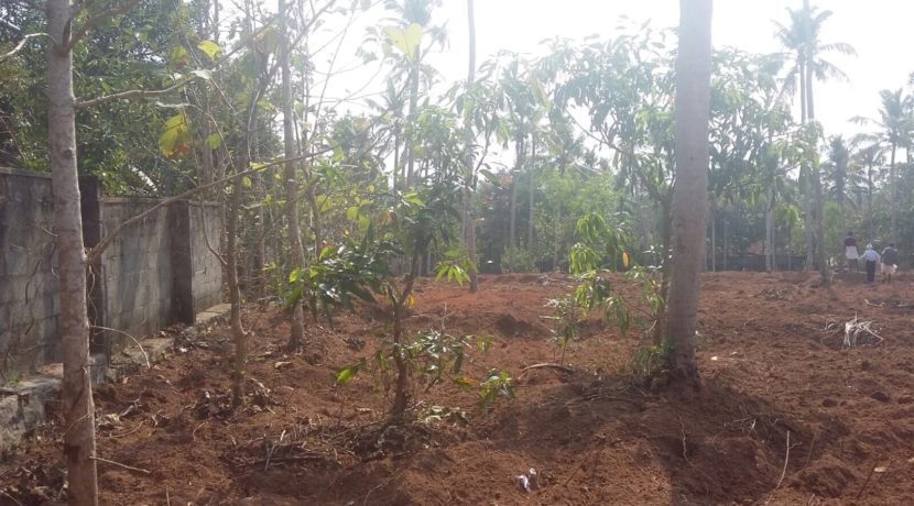 BBC7A627-A2E6-4765-B27A-1C6B0C0A1560