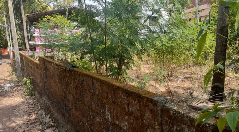 PHOTO-2020-03-03-15-57-20 (1)