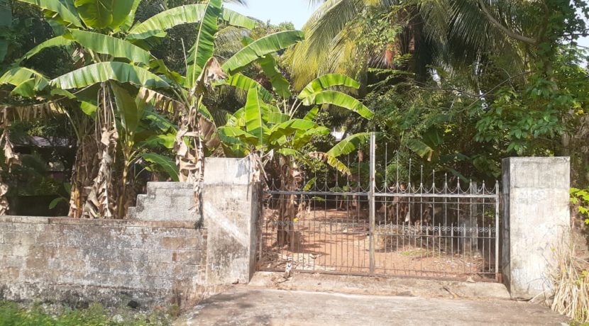 PHOTO-2020-03-03-15-57-20