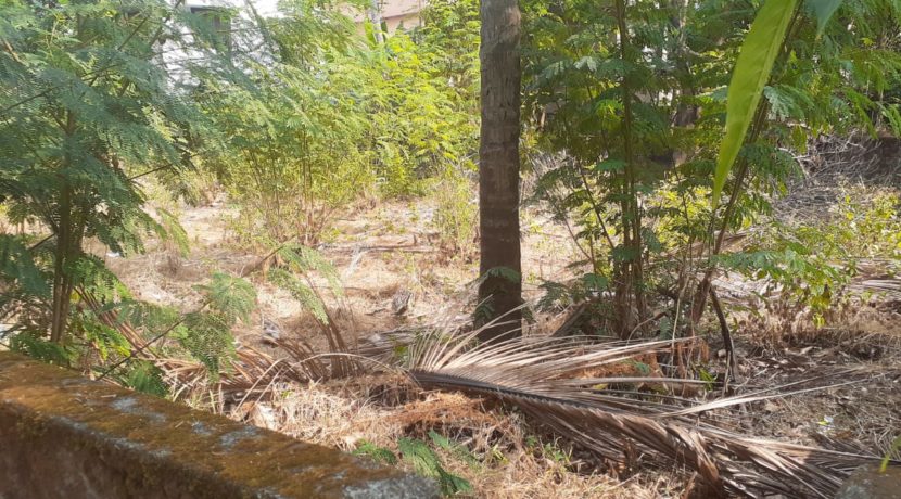 PHOTO-2020-03-03-15-57-21 (1)