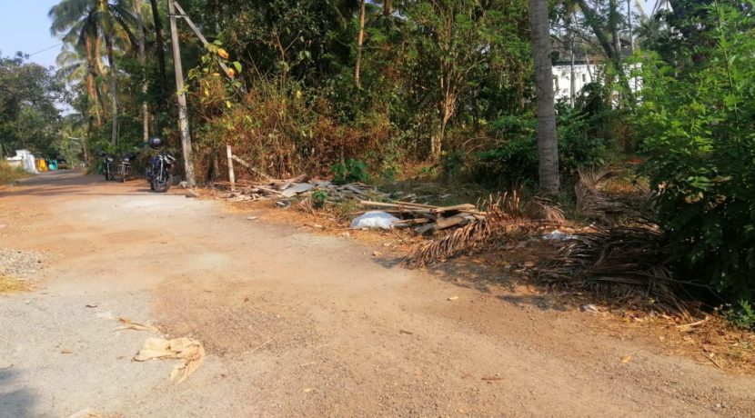 a4a9811b-e501-4fed-a862-054a1b018abb (1)