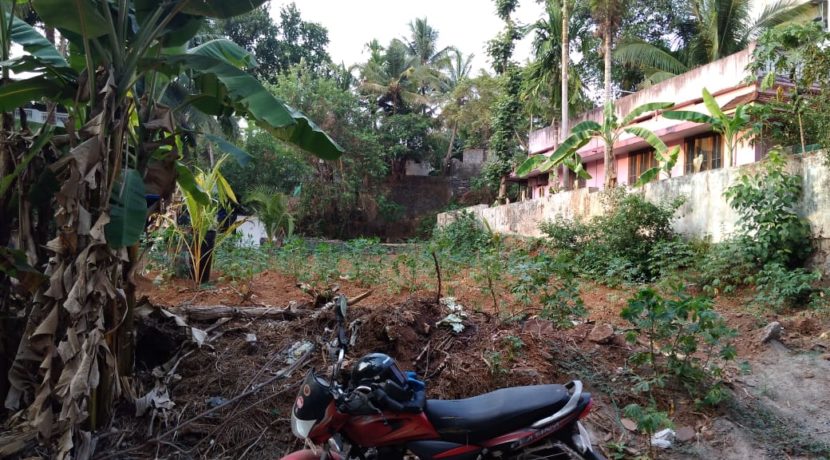 B5161E79-0CEF-4CB7-9493-91750CC4BCB8