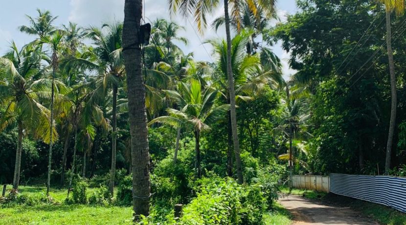 WhatsApp Image 2020-05-30 at 8.55.18 PM