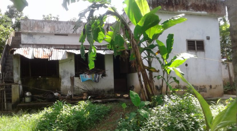 WhatsApp Image 2020-06-18 at 1.20.03 PM