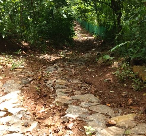 52d24265-26f4-4761-9ad1-5fe2b3287f15