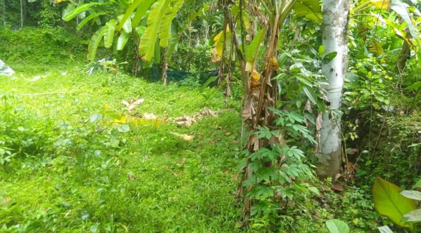 99630c36-815a-4f5a-8a65-3c943c8f1919