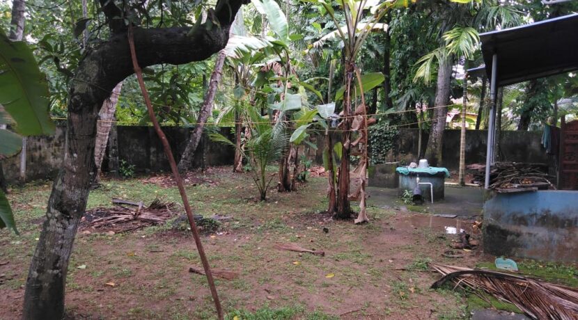 678ed982-5296-4332-aca5-d484c1e32f1f