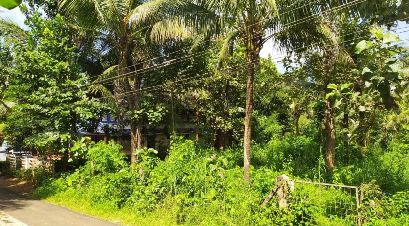 WhatsApp Image 2020-09-27 at 2.59.17 PM (1)