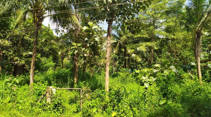 WhatsApp Image 2020-09-27 at 2.59.19 PM