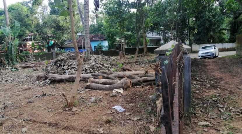 WhatsApp Image 2020-09-28 at 17.07.58