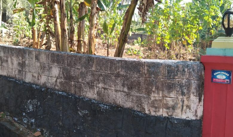 WhatsApp Image 2020-09-29 at 12.54.17 (3)