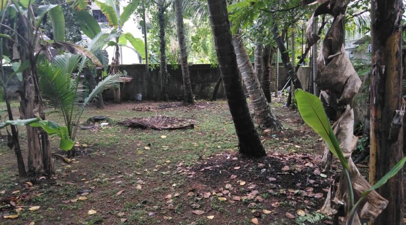 b9df92f7-4027-42d7-a4f7-7049f6cc3b32