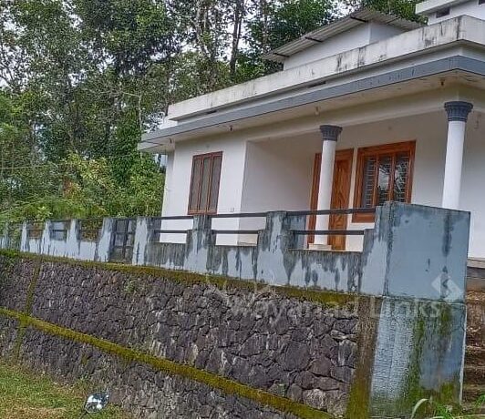 IMG_20201003_151104_769