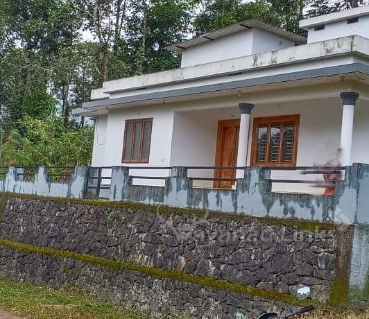 IMG_20201003_151104_770