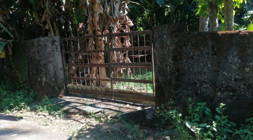 07a824cb-948f-421a-8020-fa5ecaf576ba