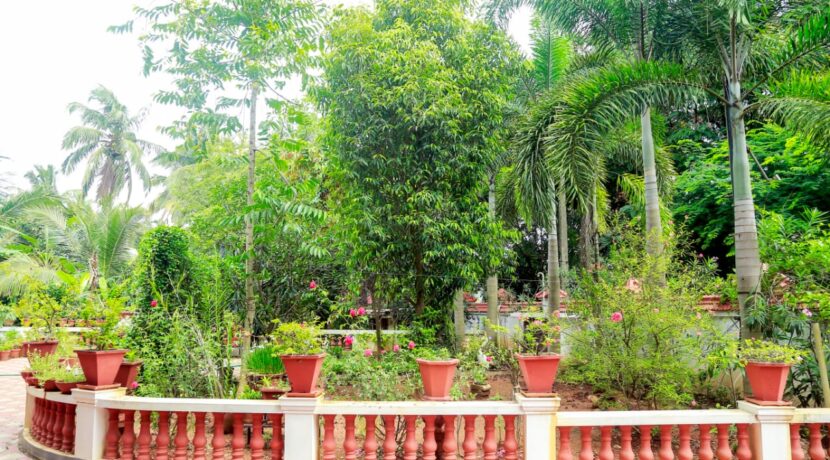 5 bhk house kolazhy 50 cent 2