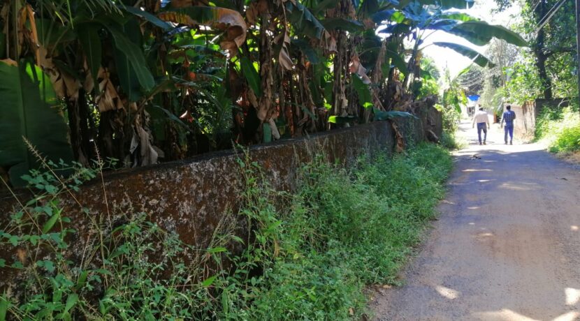 8d5b3aaa-15fb-4e00-89d5-123e27098050