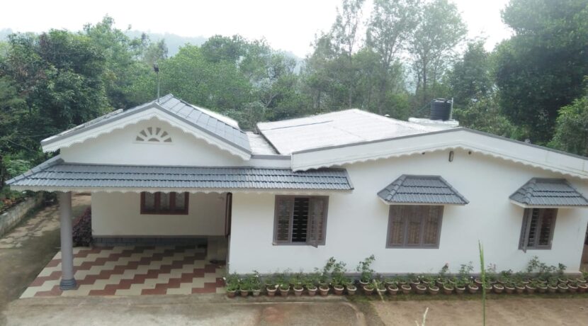 WhatsApp Image 2020-11-04 at 11.38.20 AM (3)