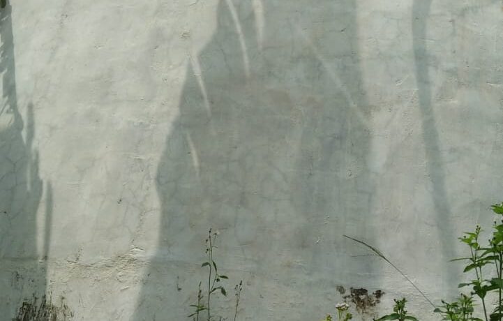 WhatsApp Image 2020-11-04 at 11.38.21 AM