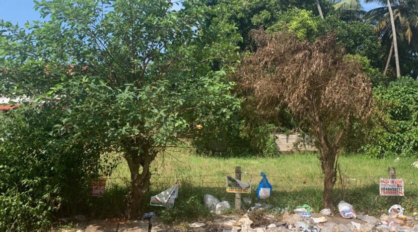 chelakottukara 13 cent