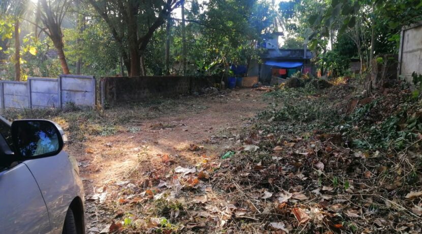 21f06ff7-be78-4979-83c7-837aa51e52bb