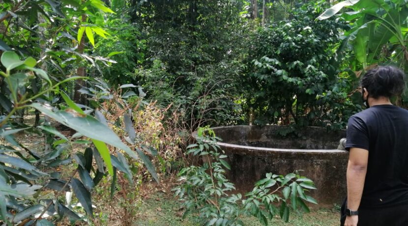 28c6888c-9b3c-4741-bc88-cd0a143975ac