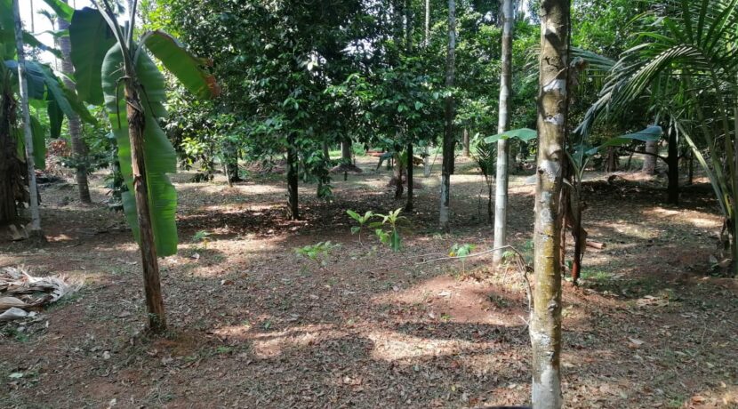 3dc763fd-1a36-44cb-84bb-09f93f616186