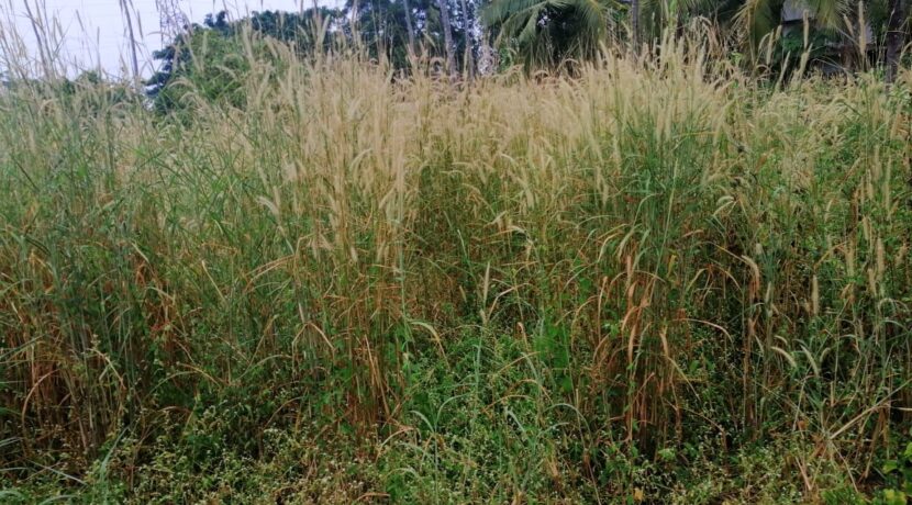 a84c498f-6403-452f-adbc-3ffcafdcb73c