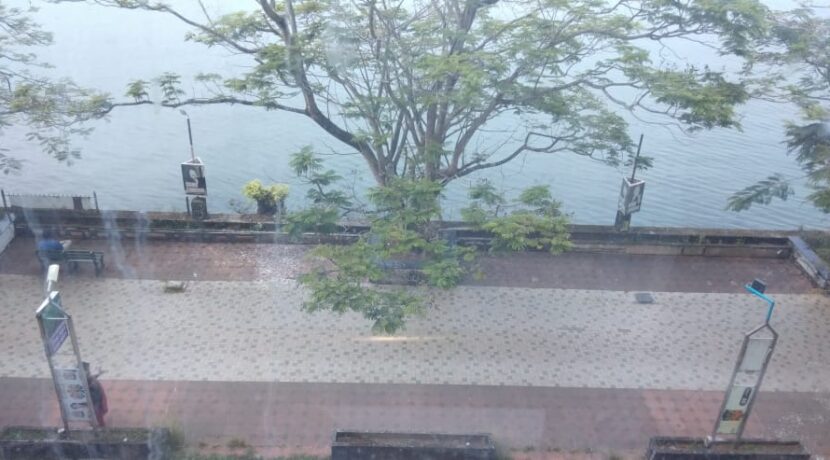 WhatsApp Image 2019-11-30 at 11.55.46 AM