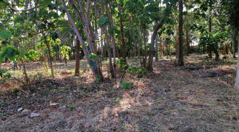 190a4e9e-fdb4-48ef-8f49-5733af386510