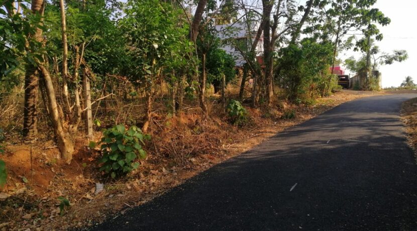 75c7c036-8ce9-4c00-b9b7-cdd844c163f4